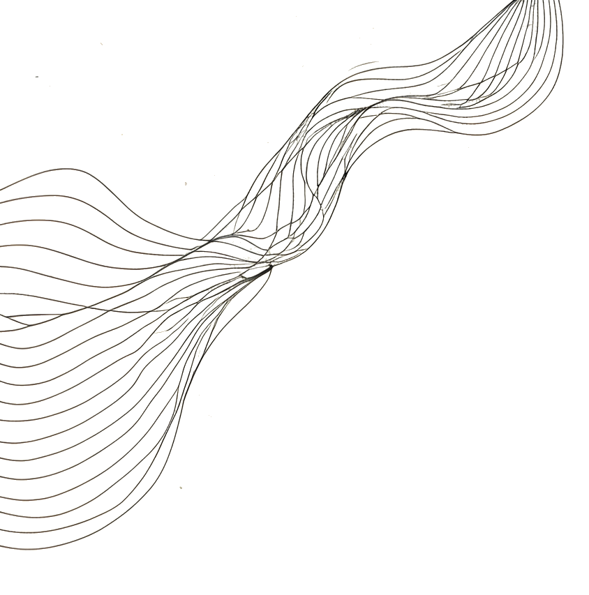 Ornamento floral botânico canto superior esquerdo